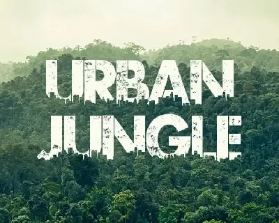 Urban Jungle font