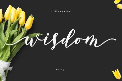 Wisdom Script font