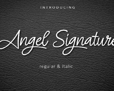 Angel Signature font