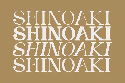 SHINOAKI Serif font