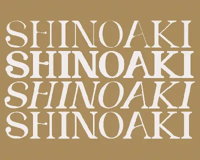 SHINOAKI Serif font