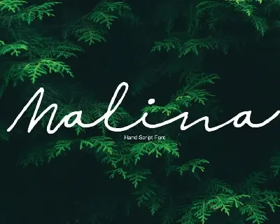 Malina Script font