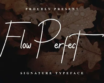 Flow Perfect Typeface font
