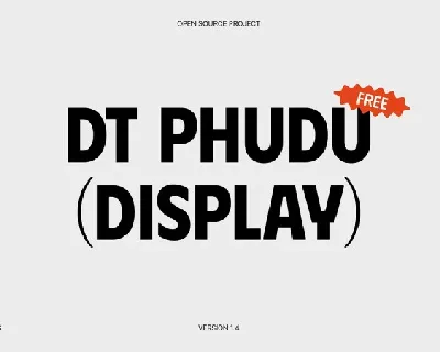 DT Phudu family font