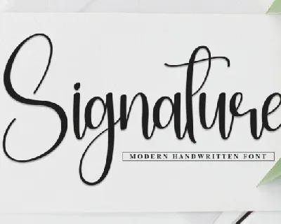 Signature Calligraphy Typeface font