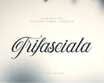 Trifasciata font