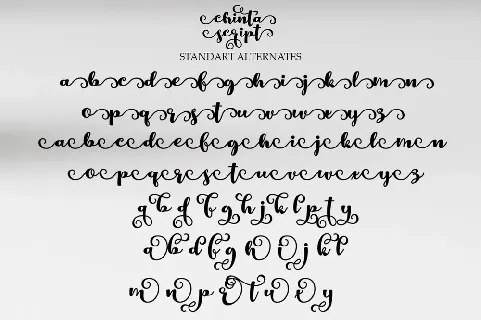 Chinta Script font