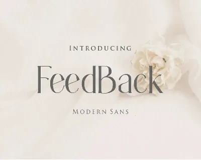 Feedback font