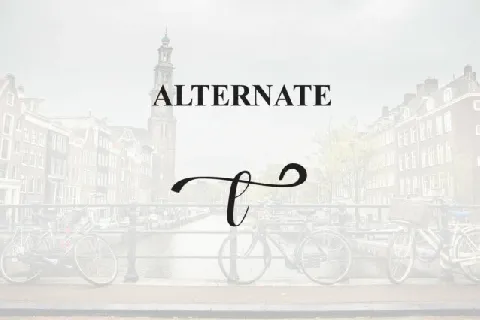 Amsterdam Calligraphy font