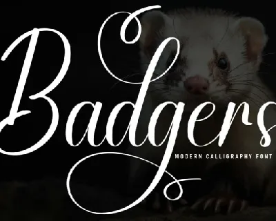 Badgers Script font