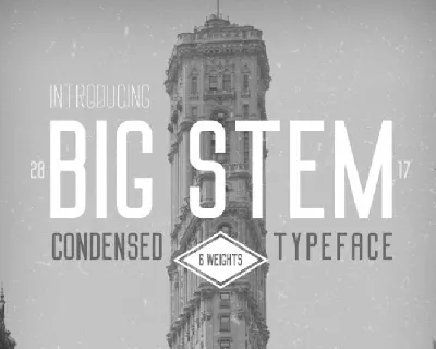 Big Stem font