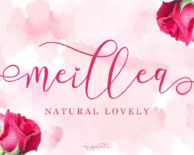 Meillea font