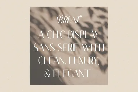 Classy Brune font