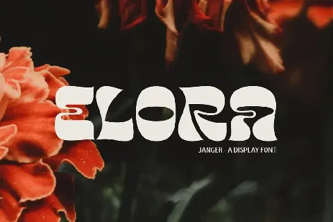 Janger font