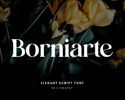 Borniarte font