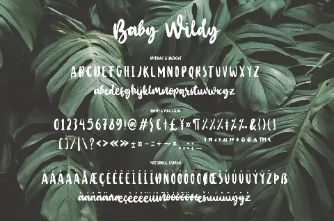 Baby Wildy font