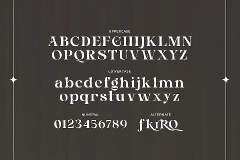 BARNICE Free Trial font