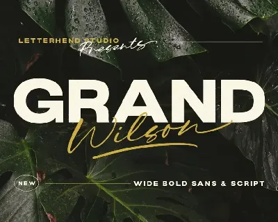 Grand Wilson font