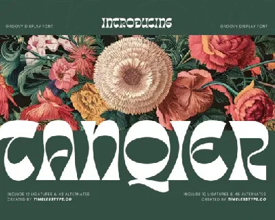 Tanqier Display font