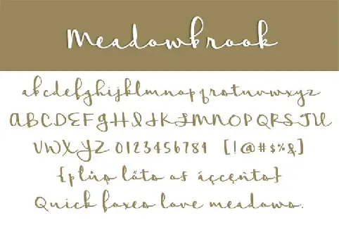 Meadowbrook font