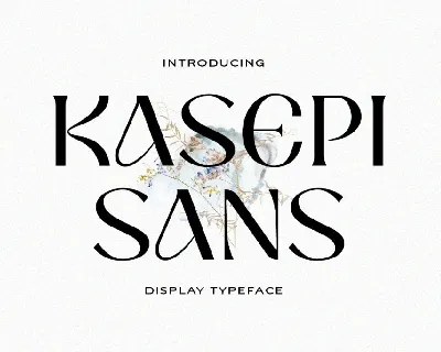 Kasepi Sans font