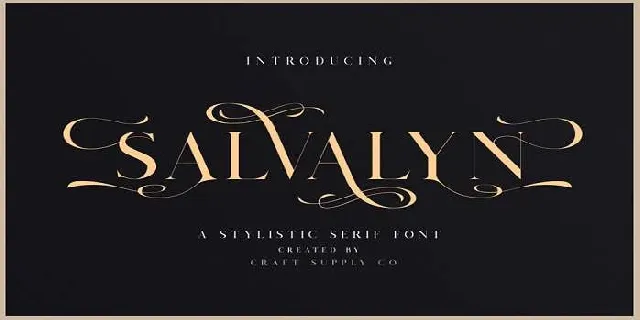 Salvalyn font