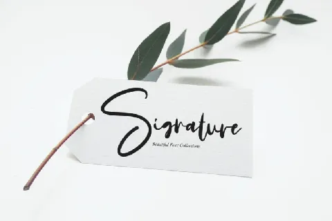 Calligraphy Signature font