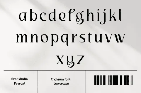 Chaleum font