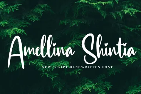 Hairstyle Script font