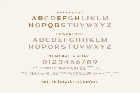 Delphin font