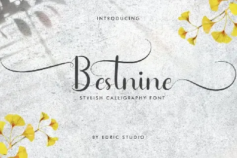 Bestnine Calligraphy font