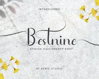 Bestnine Calligraphy font