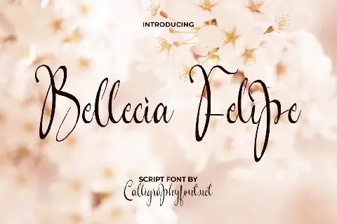 Bellecia Felipe Demo font