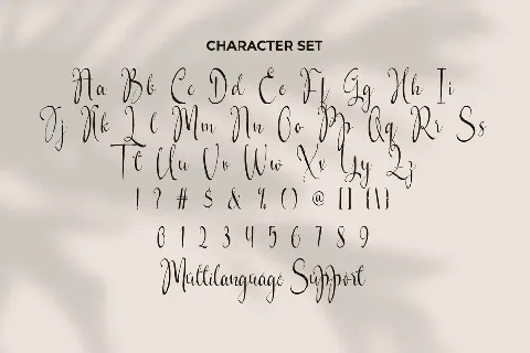 Bellecia Felipe Demo font