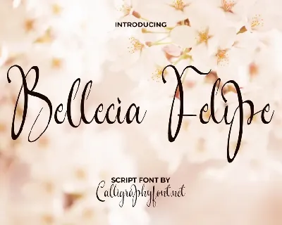 Bellecia Felipe Demo font