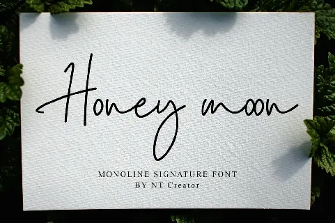 Honey Moon font