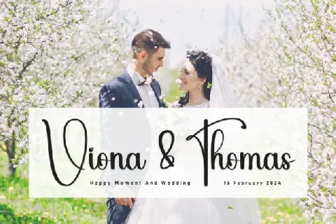 Wedding Handwritten Typeface font