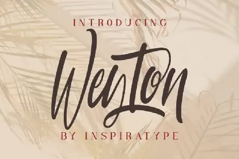 Weyton Calligraphy font