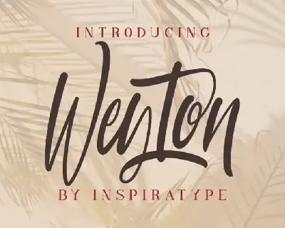 Weyton Calligraphy font