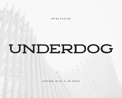 SS Underdog font