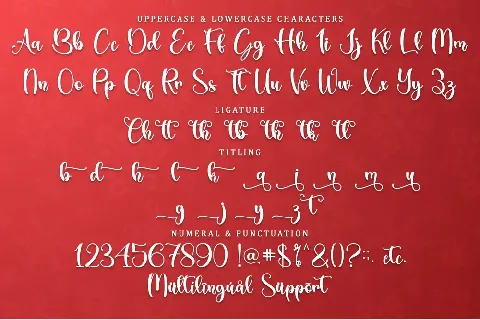 Christmas Cheer - Personal Use font