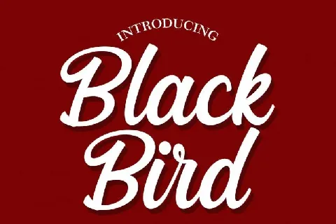 Black Bird Script font