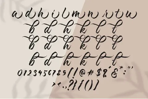 Kashina font