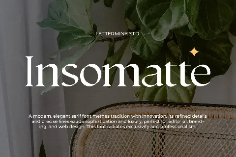 Insomatte Demo font