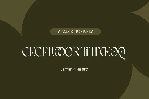 Insomatte Demo font