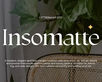 Insomatte Demo font