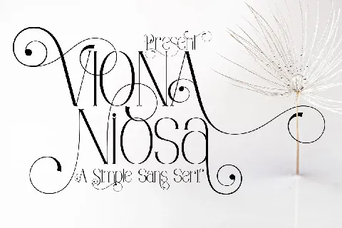 Viona Niosa font