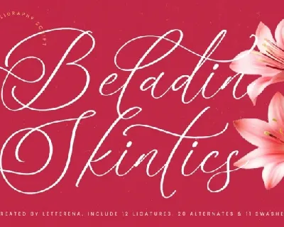 Beladin Skintics font