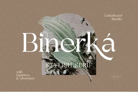 Binerka font