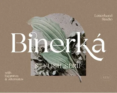 Binerka font